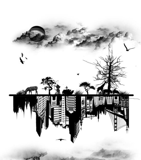 Nouveau portfolio